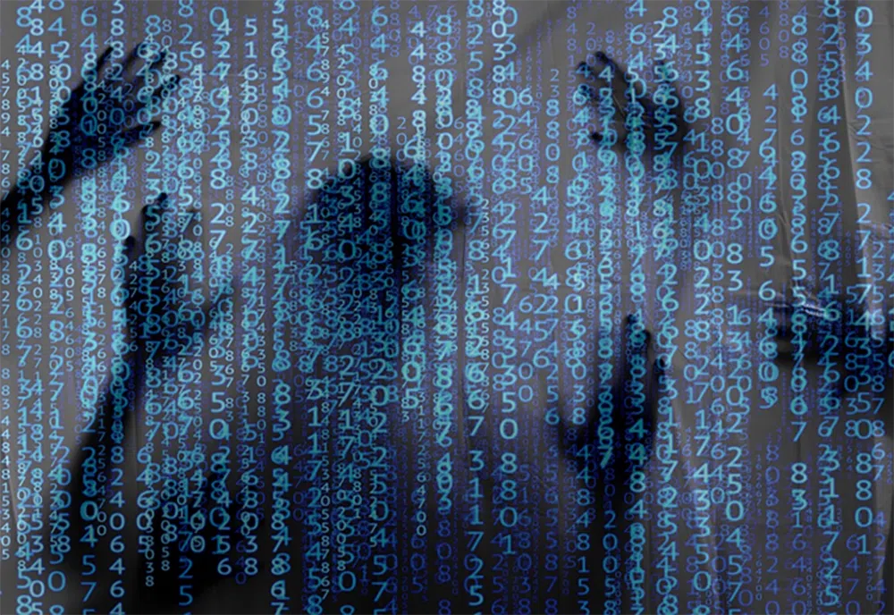 parier sur darkweb