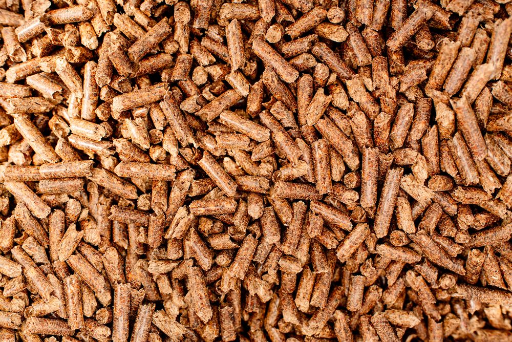 pellets belgique