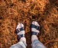 Tout ce que vous devez savoir sur les chaussures Birkenstock Gizeh bleu