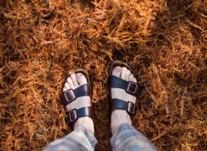 chaussures Birkenstock
