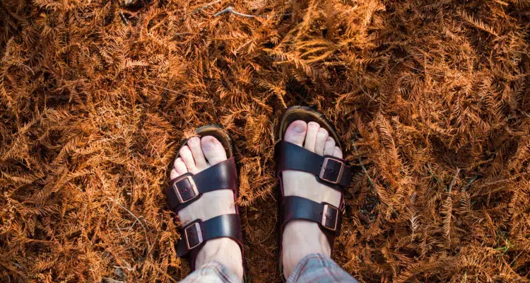 chaussures Birkenstock