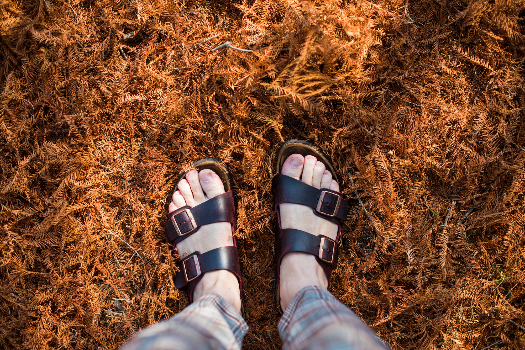 chaussures Birkenstock