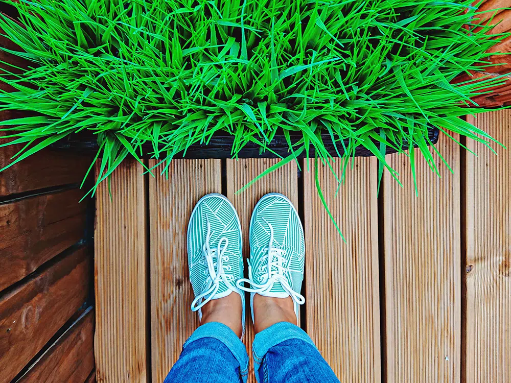 petit jardin