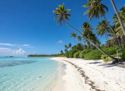 plages paradisiaques