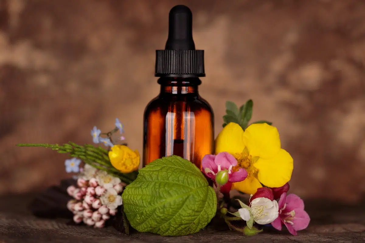 plantes relaxer