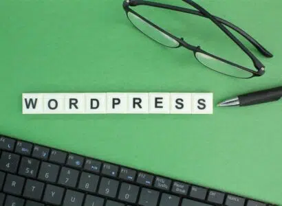 plateforme wordpress