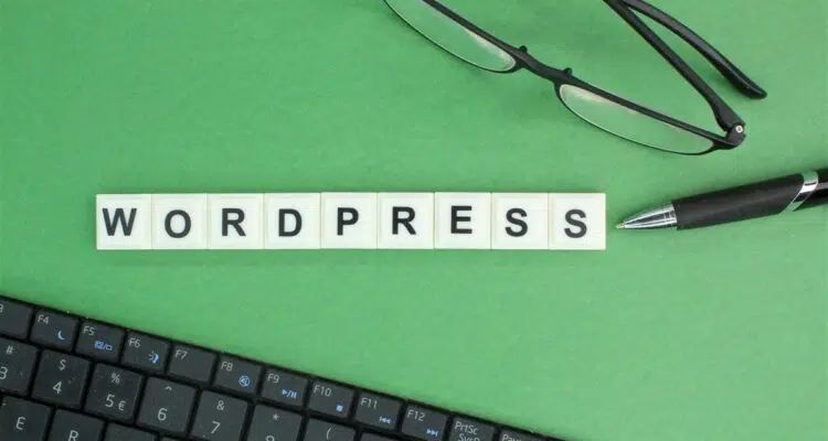 plateforme wordpress