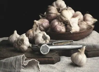 presse-ail professionnel idéal pour les chefs de cuisine