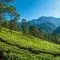 Les plus belles randonnées à faire au Sri Lanka : aventures sur sommets et plantations de thé