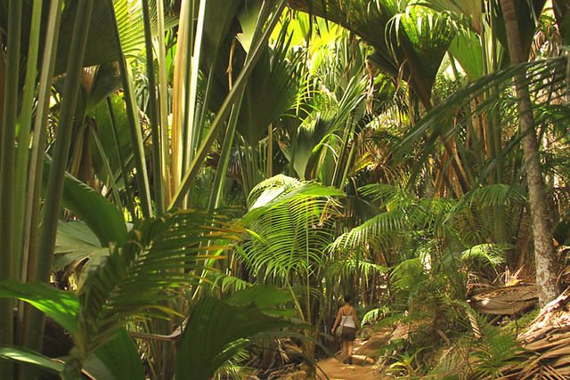 séjour nature aux Seychelles