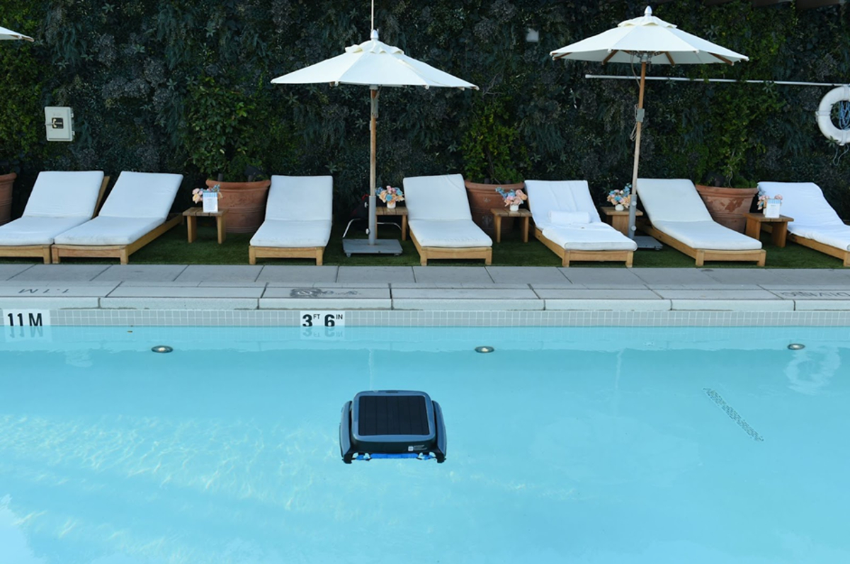 skimmer piscine