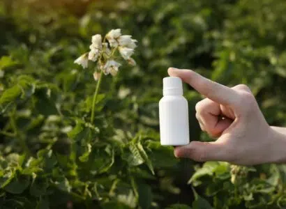 Lutte écologique contre les cafards de jardin