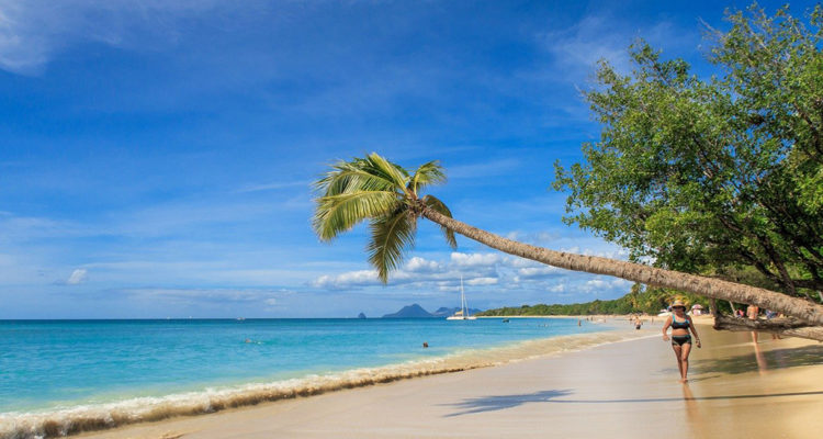 voyage en Martinique