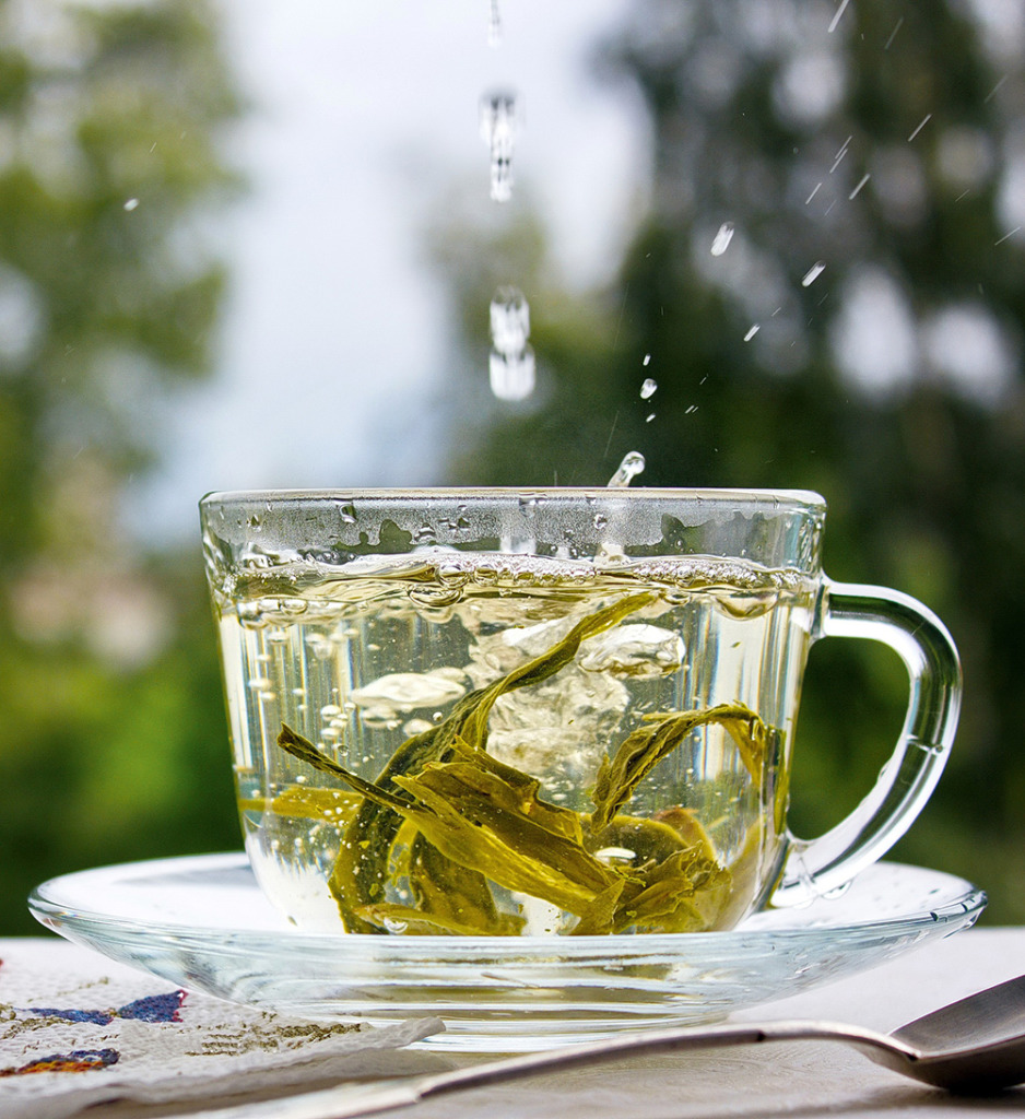 thé vert et santé