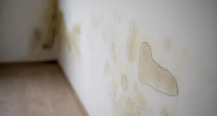 traitement humidité
