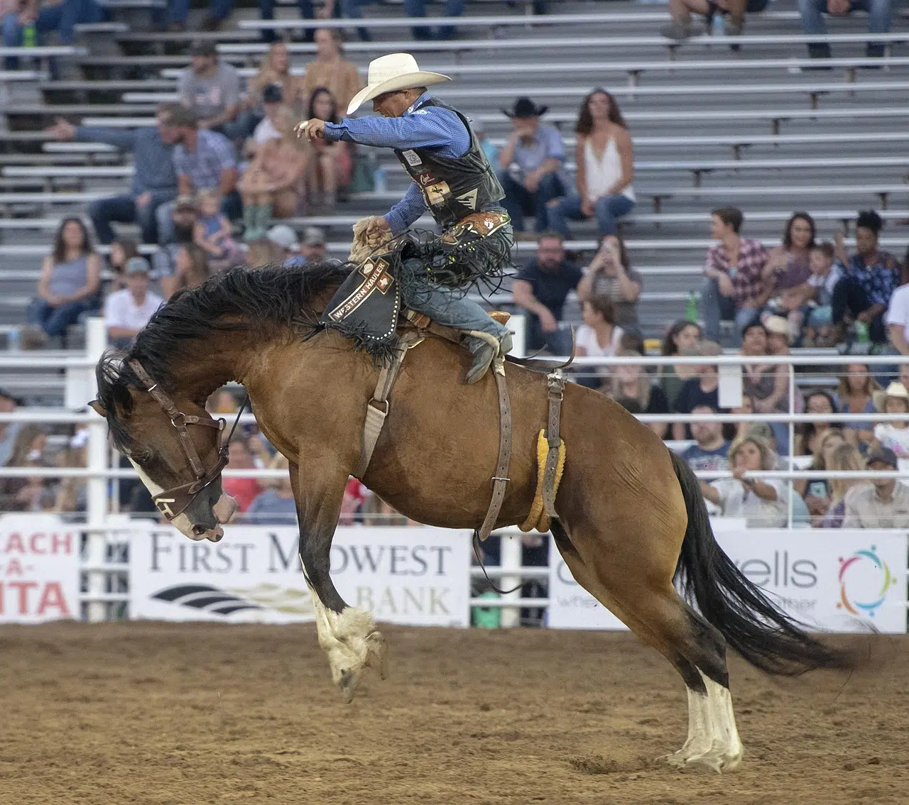 univers cowboy