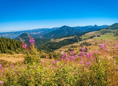 vacances en Auvergne