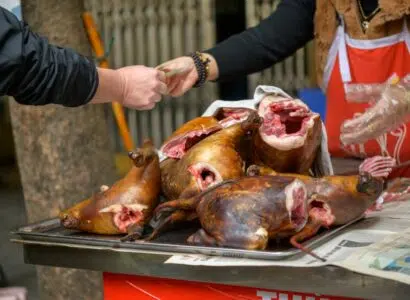 viande de chien