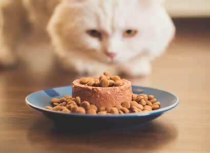alimentation animale