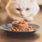 Composition, traçabilité : comment évaluer une marque d’alimentation animale ?
