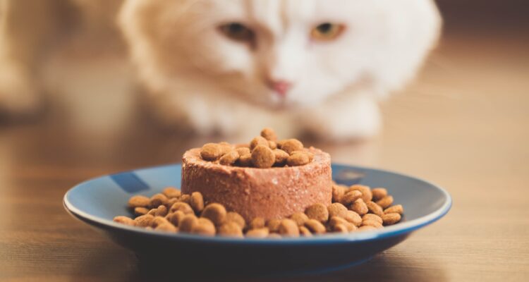 alimentation animale